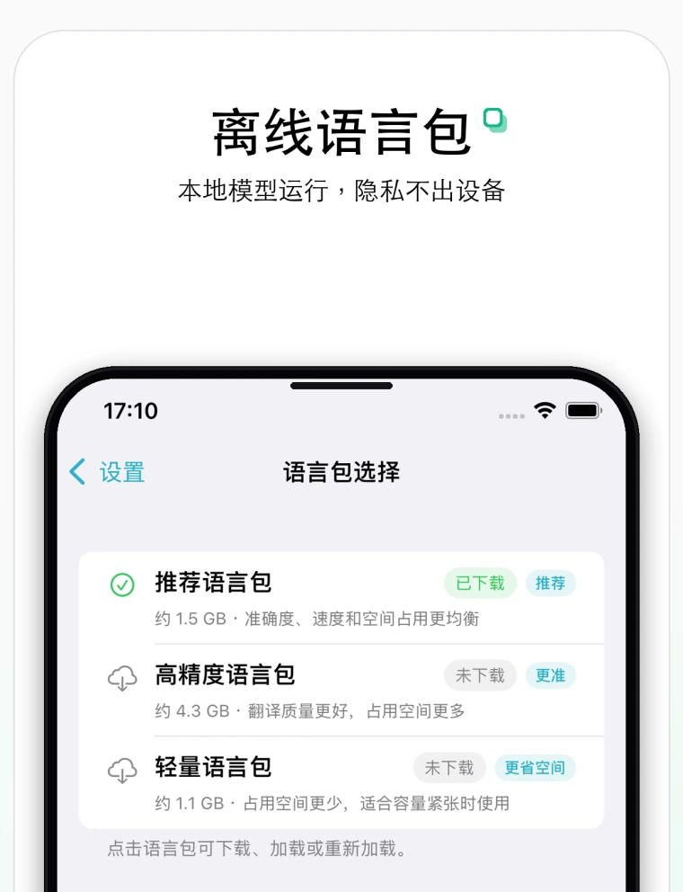 Screenshot of the Sayee language pack settings screen